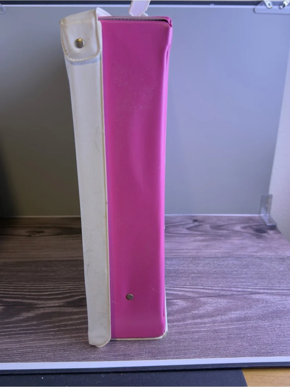 Vintage 1969 Mattel Skipper Doll Case Empty Pink White Handle Cracked